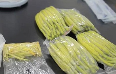 饭堂承包公司J9九游会膳食告诉您：黄花菜的正确食用方法及储存方法