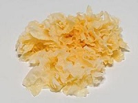 九游会·(j9)官方网站-真人游戏第一品牌