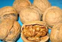 九游会·(j9)官方网站-真人游戏第一品牌